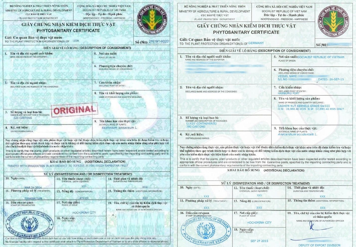 Mẫu giấy chứng nhận kiểm dịch thực vật cấp cho hàng xuất khẩu từ Việt Nam